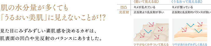 肌の水分量が多くても「うるおい美肌」に見えないことが!? 見た目にみずみずしい素肌感を決めるカギは、肌表面の凹凸や光反射のバランスにありました。