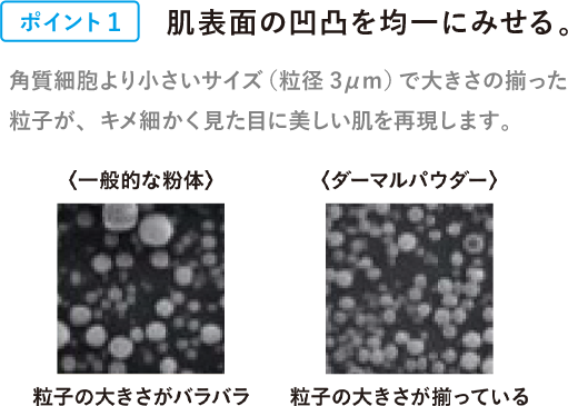 [ポイント1] 肌表面の凹凸を均一にみせる。 角質細胞より小さいサイズ（粒径3μm）で大きさの揃った粒子が、キメ細かく見た目に美しい肌を再現します。