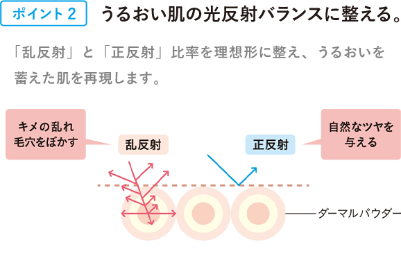 [ポイント2] うるおい肌の光反射バランスに整える。 「乱反射」と「正反射」比率を理想形に整え、うるおいを蓄えた肌を再現します。