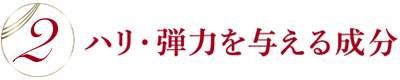 特長2　ハリ・弾力を支える成分