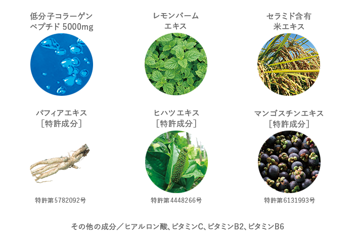 低分子コラーゲン＋厳選された美容成分が導くはずむ美しさ。