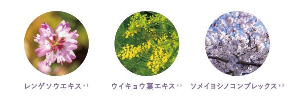 ラフレンディボタニカル 静岡プロダクツセンターから、豊かな恵みをあなたに。