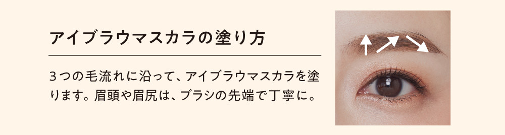 サティシェ　アイブラウ マスカラの塗り方