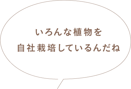いろんな植物を自社栽培しているんだね