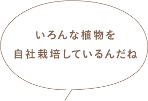 いろんな植物を自社栽培しているんだね