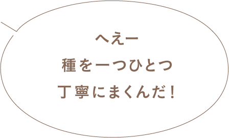 へえー種を一つひとつ丁寧にまくんだ！
