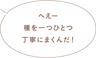 へえー種を一つひとつ丁寧にまくんだ！