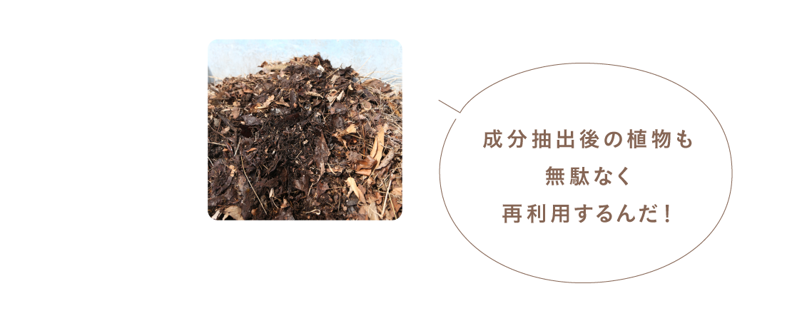 成分抽出後の植物も無駄なく再利用するんだ！